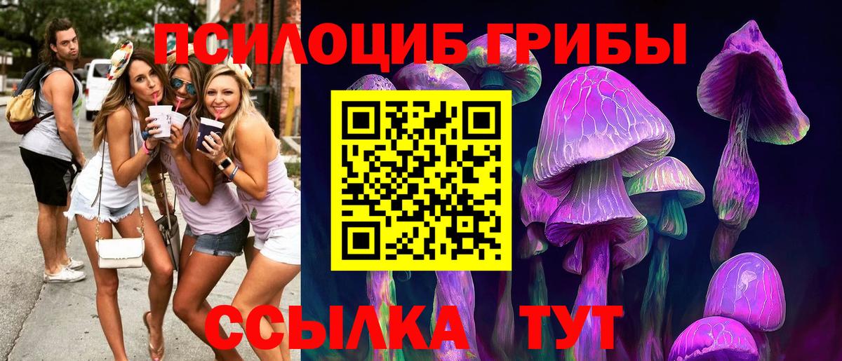 Псилоцибиновые грибы прущие грибы  Псилоцибиновые грибы Cubensis  Вход с VPN  Туймазы 