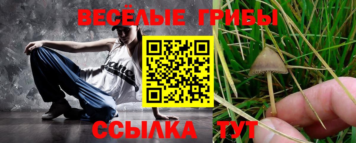 Псилоцибиновые грибы прущие грибы Туймазы